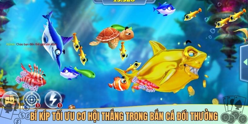 Bí kíp tối ưu cơ hội thắng trong bắn cá đổi thưởng